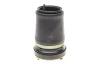 Подушка пневмоподвески (спереди) BMW X5 (E53) 00-06 (R) AUTOTECHTEILE 700 3306 (фото 5)