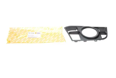 Вставка бампера (под противотуманку) BMW 5 (F10/F11) 09-17 (M-Technic) (R) AUTOTECHTEILE 703 5156