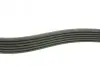Ремінь генератора MB 210 2.3D (6PK1885) AUTOTECHTEILE 906 1885 (фото 2)