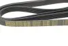 Ремень генератора MB OM601/602 (+PS) (6PK1980) AUTOTECHTEILE 906 1980 (фото 4)