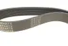 Ремень генератора Renault Master/Trafic/Opel Movano/Vivaro 2.5CDTI/dCi 06- (7PK1113) AUTOTECHTEILE 907 1113 (фото 2)