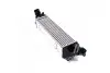 Интеркуллер H1 2.5 CRDi MT/5 (Ava) AVA COOLING HY4489 (фото 1)