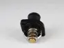 Термостат Fiat Scudo/Peugeot Expert 2.0 16V 00- (89°C) AVA COOLING PETS003 (фото 2)