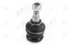 Опора кульова передня нижня Subaru Legacy (89-), Impreza (92-), Legacy (89-), Forester (97-) AYD 92-01422 (фото 1)