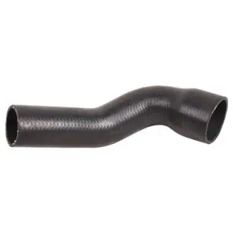 Повітряний шланг Bapmic BF0422700295