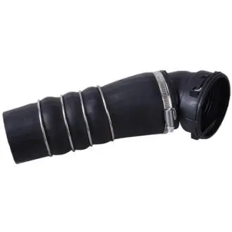 Повітряний шланг Bapmic BF0422700318
