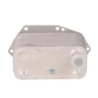 Радиатор масляный Bapmic BF0426490004