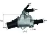 Термостат BEHR TI14888 (фото 1)