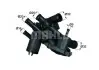 Термостат BEHR TM4109 (фото 1)