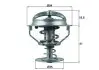 Термостат BEHR TX16482D (фото 1)