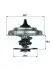 Термостат BEHR TX1883D (фото 1)