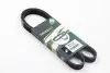 Ремень генератора Kangoo 1.4i 98&gt; /1.6i 02&gt; (-AC) BGA 5PK1110 (фото 3)