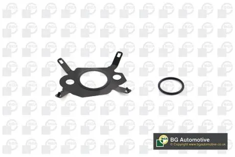 Прокладка клапана EGR Citroen C4/C5/Jumpy/Peugeot 308/508/Expert 2.0HDi 09- BGA AG1444