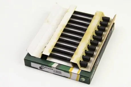 Комплект болтов двигателя с фигурной головкой BGA BK4308
