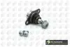 Опора кульова (передня/знизу) BMW X5 (E53) 00-07 BGA SJ0903 (фото 1)