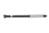 Амортизатор (задній) Skoda Fabia 99-07 BILSTEIN 19-109572 (фото 1)