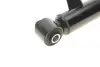 Амортизатор (задний) BMW X5 (E70)/X6 (E71/E72) 06-14 (R) M57/N52/N55/N57/N62 BILSTEIN 19-184081 (фото 8)