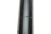 Амортизатор (передній) BMW X5 (E70)/ X6 (E71/E72) 07-14 M57/N52/N55/N57/N63 BILSTEIN 19-261515 (фото 4)