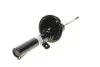 Амортизатор (передний) Ford Ka 1.3i 96-08 (B4) BILSTEIN 22-045515 (фото 1)