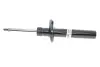 Амортизатор (передній) VW CC 09-17, Passat(3C2) 06-10, Passat(357/365) 12-19, d=55mm, B4 BILSTEIN 22-151056 (фото 1)