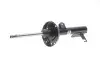 Амортизатор (передній) Chevrolet Volt/Opel Ampera 11- (R) BILSTEIN 22-232502 (фото 1)
