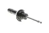 Амортизатор (передний) (L) BMW 1 (F20/F21)/2 (F22/F23/F87) 12- BILSTEIN 22-238245 (фото 1)