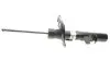 Амортизатор (передній) Ford Focus III 1.0-2.0 12- (L) BILSTEIN 22-255969 (фото 2)
