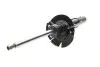 Амортизатор (передній) Ford Focus III 1.0-2.0 12- (L) BILSTEIN 22-255969 (фото 9)