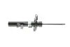 Амортизатор (передній) Ford Focus III 1.0-2.0 12- (R) BILSTEIN 22-255976 (фото 9)