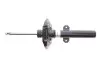 Амортизатор (передний) Renault Scenic IV 16-, B4, давление газа BILSTEIN 22-277275 (фото 5)