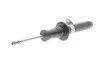 Амортизатор (передній) BMW 6 (G32) 17- (R) B47/B57/B58 BILSTEIN 22-295989 (фото 1)