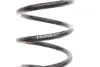 Пружина (задня) Smart Fortwo/City-Coupe/Cabrio 98-07 M160/OM660 BILSTEIN 36-235223 (фото 2)