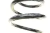 Пружина (задня) VW Sharan/Ford Galaxy/Seat Alhambra 1.8-2.8/1.9TDI 95-10 BILSTEIN 38-131264 (фото 2)