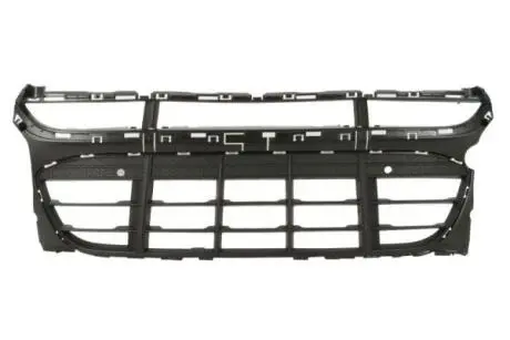 Решітка радіатора BLIC 6502-07-5724990P