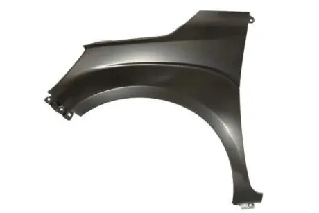 Крыло переднее BLIC 6504046819311P