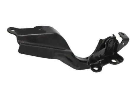 Елементи капота BLIC 6802-00-6716453P