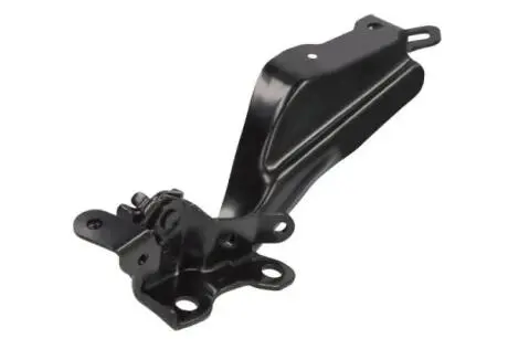 Елементи капота BLIC 6802-00-6716454P