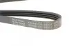 Ремень генератора Suzuki Grand Vitara 2.5-2.7 98-03/ Honda Stream 1.7 01- / Nissan 300 ZX 3.0 84-90 BLUE PRINT AD04R1025 (фото 4)