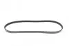 Ремень генератора Suzuki Swift 1.0i 95-05/ Honda Civic 1.4-1.6 94-01/ Nissan Primera1.6-2.0 96-02 BLUE PRINT AD04R823 (фото 3)