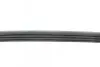 Ремень генератора Fiat Doblo 1.2i 01-/ Chevrolet Aveo 1.2 08-/ Spark 1.0-1.2 10- BLUE PRINT AD04R840 (фото 2)