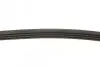 Ремінь генератора Hyundai Accent 1.3-1.5 00-05/Subaru Forester/Impreza 1.5-2.5 95-09 BLUE PRINT AD04R903 (фото 2)