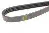 Ремень генератора Renault Kangoo 1.4i 97-/ Mitsubishi L 300 2.0 86-04/ Hyundai Santamo 2.0 99-02 BLUE PRINT AD04R995 (фото 3)