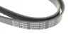 Ремень генератора Opel Astra G 1.2i-1.4i 04-/ Corsa1.0-1.4/ Agila 1.0-1.2 00-07 BLUE PRINT AD05R1230 (фото 4)