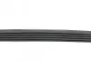 Ремень генератора BMW 3 (E46)/ X5 (E53)/ 5 (E39) 2.5D-3.0D 98-06/ Land Rover Range Rover 3.0 D 02-12 BLUE PRINT AD05R810 (фото 2)
