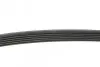 Ремінь генератора Renault Kangoo 1.5 dCi/ Citroen C5/ C6/ C8/ Xantia/ XM Break 2.0-2.2 92- BLUE PRINT AD06R1200 (фото 2)