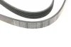 Ремень генератора VW Golf/VW Bora 2.3 -00/ Hyundai i30/ i40 2.0 CRDi/GDI 07- BLUE PRINT AD06R1285 (фото 3)