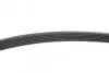 Ремінь генератора Peugeot 206/ Citroen C5/ Xantia/ Xsara/Berlingo 1.4-2.0 96-/ Skoda Fabia 1.2 01-14 BLUE PRINT AD06R1454 (фото 2)