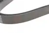 Ремінь генератора VW LT 2.8TDI/ Suzuki Grand Vitara 2.0 HDI 01-05/ Audi 80/ A6/ A8 2.6-2.8 91- 97 BLUE PRINT AD06R1636 (фото 3)