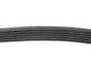 Ремень генератора VW LT 2.5TDI -06/T4 2.5 91-03/Ford Connect 1.8 TDCi 02-07/ Opel Astra 1.7 07- BLUE PRINT AD06R1718 (фото 2)