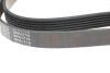 Ремень генератора VW LT 2.5TDI -06/T4 2.5 91-03/Ford Connect 1.8 TDCi 02-07/ Opel Astra 1.7 07- BLUE PRINT AD06R1718 (фото 3)